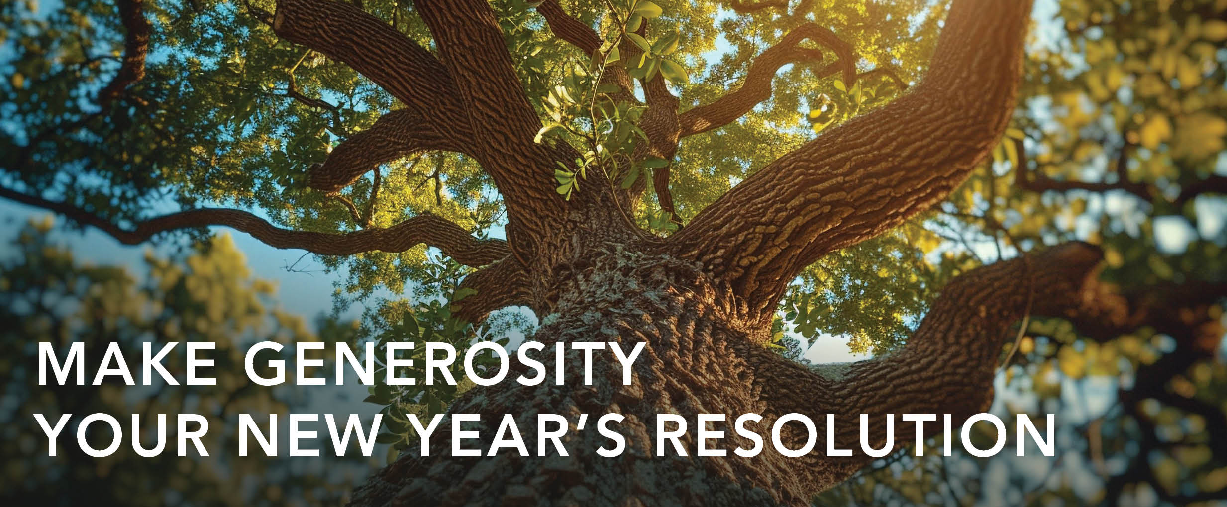Make Generosity Your New Year’s Resolution